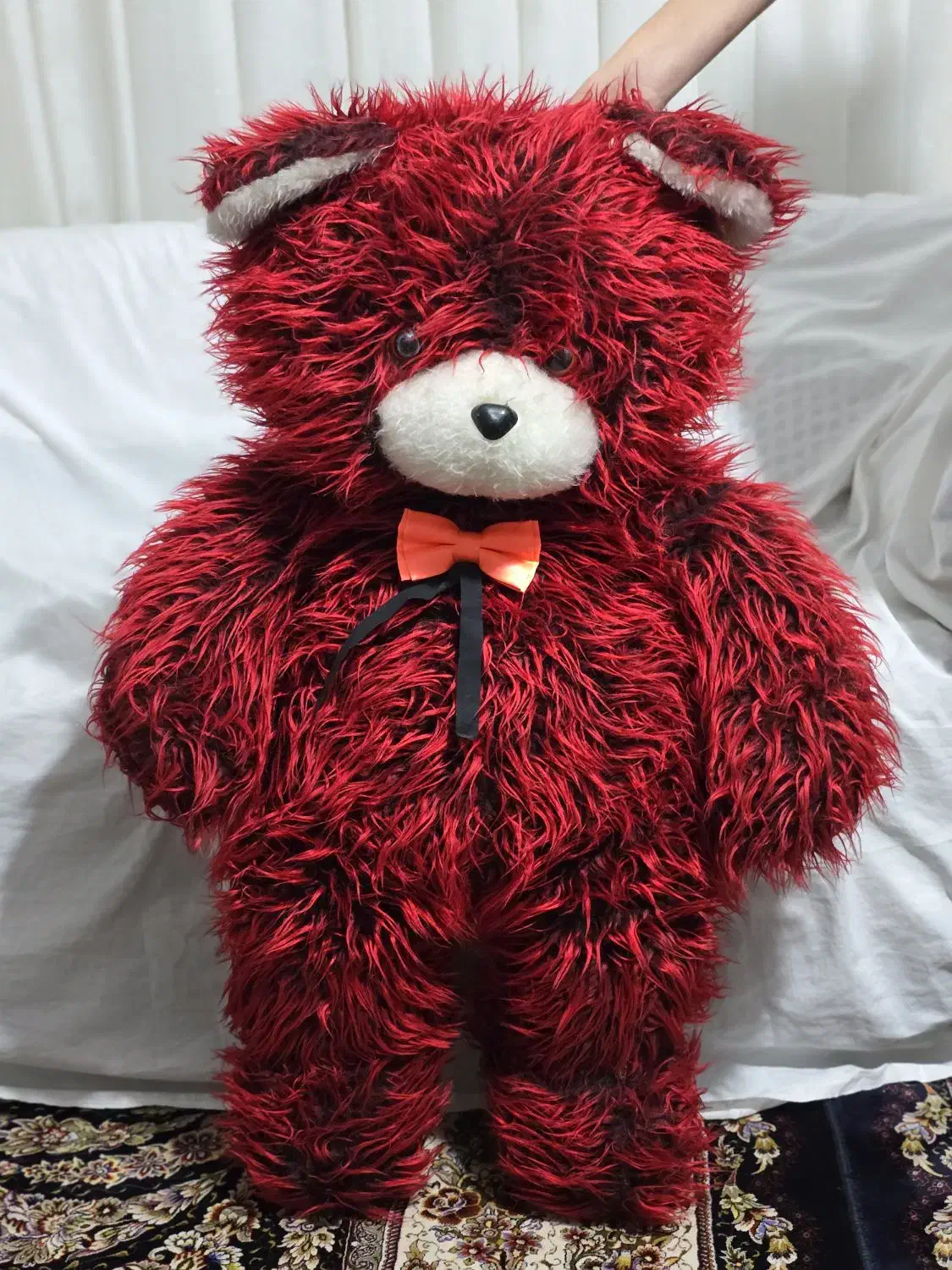 خرس|اسباب‌‌بازی|قدس, شهر‌قدس|دیوار