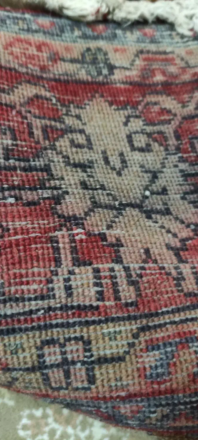 قالیچه بیجار قدمت دار|فرش|فردیس, فردیس|دیوار