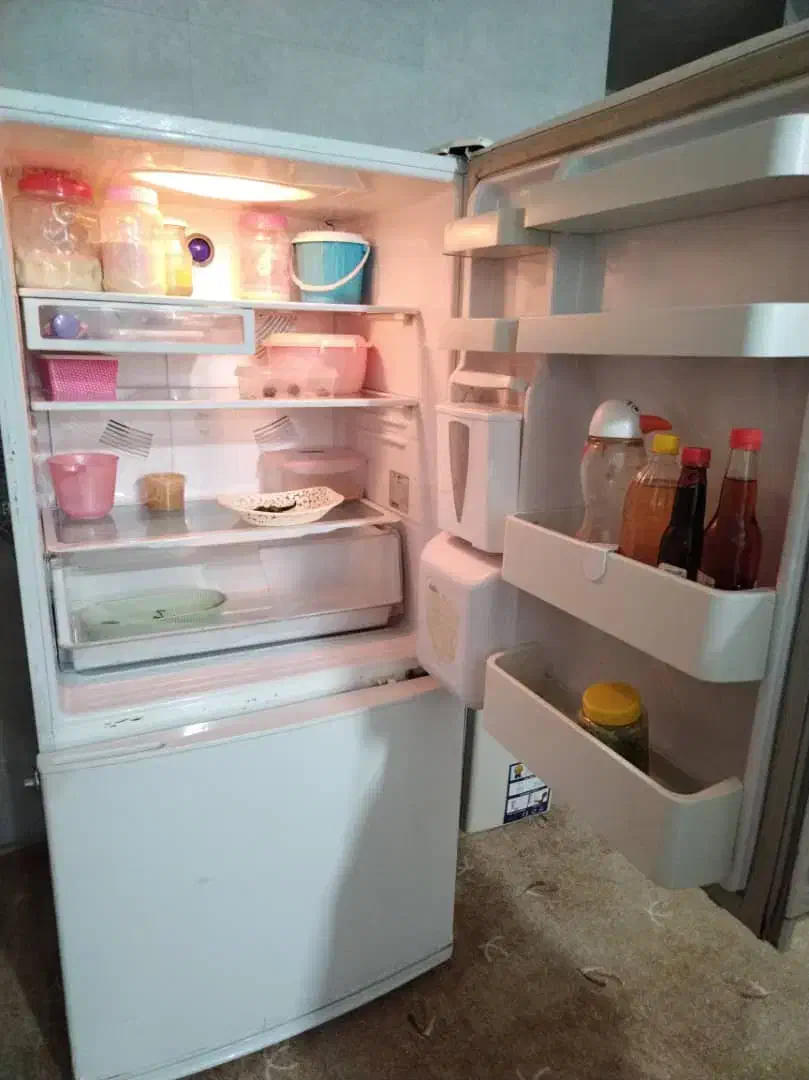 یخچال فریزر اسنوا، فریزر صندوقی|یخچال و فریزر|برازجان, |دیوار