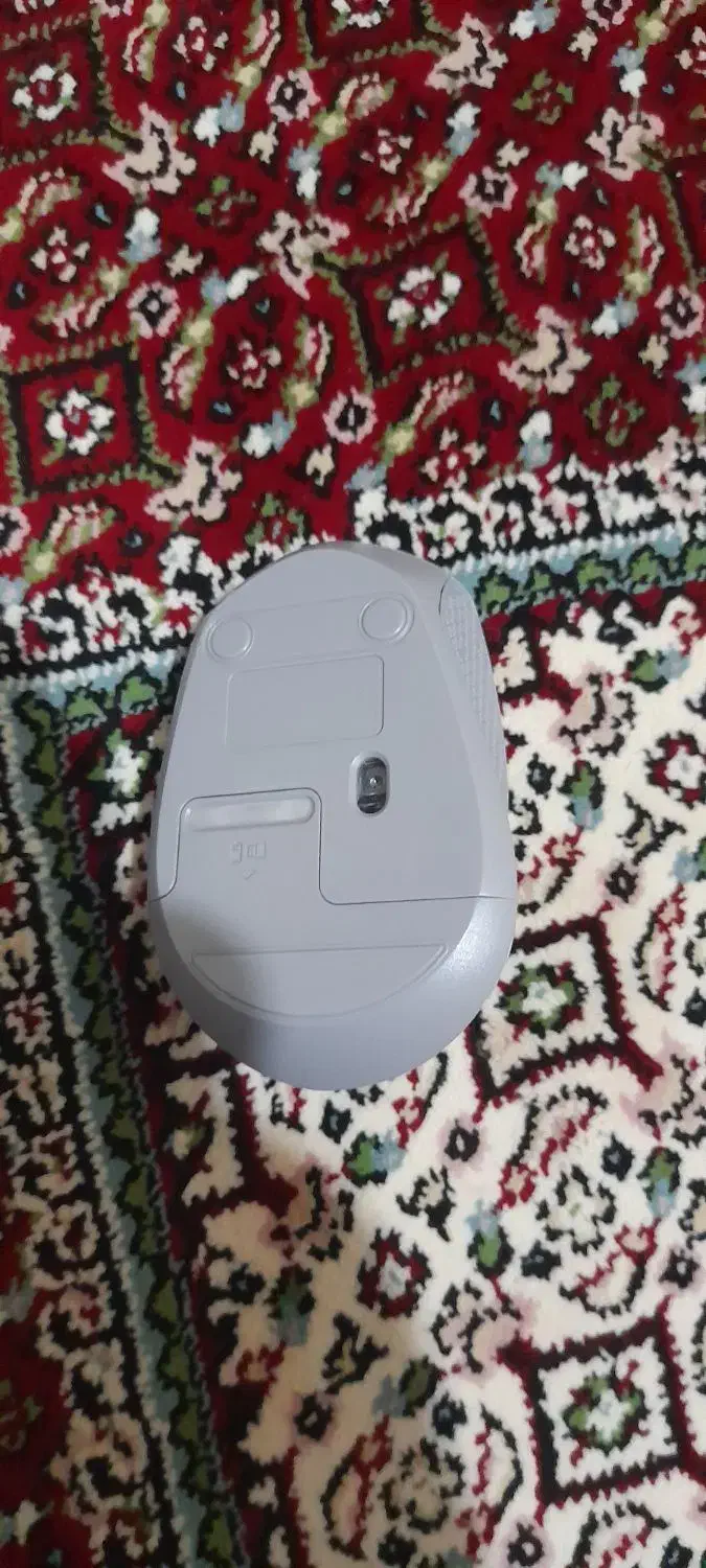 موس|قطعات و لوازم جانبی رایانه|همدان, |دیوار