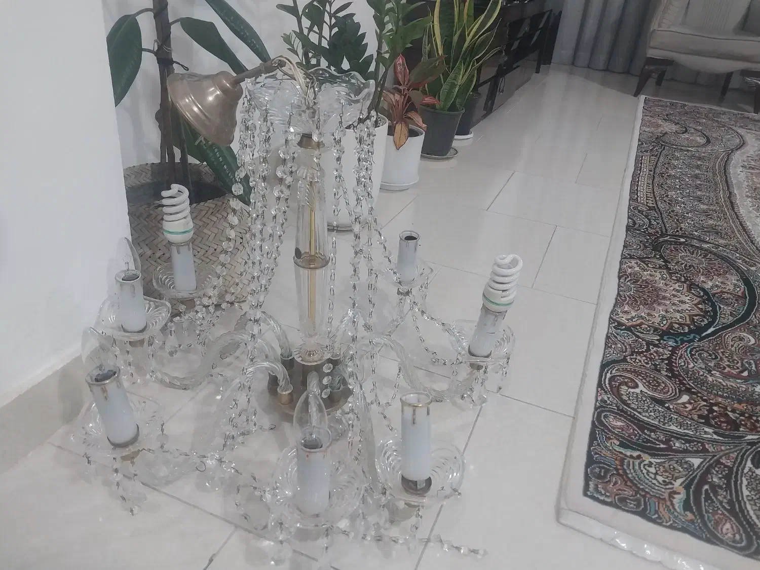 لوستر|لوستر و چراغ آویز|محمدیه-قزوین, |دیوار