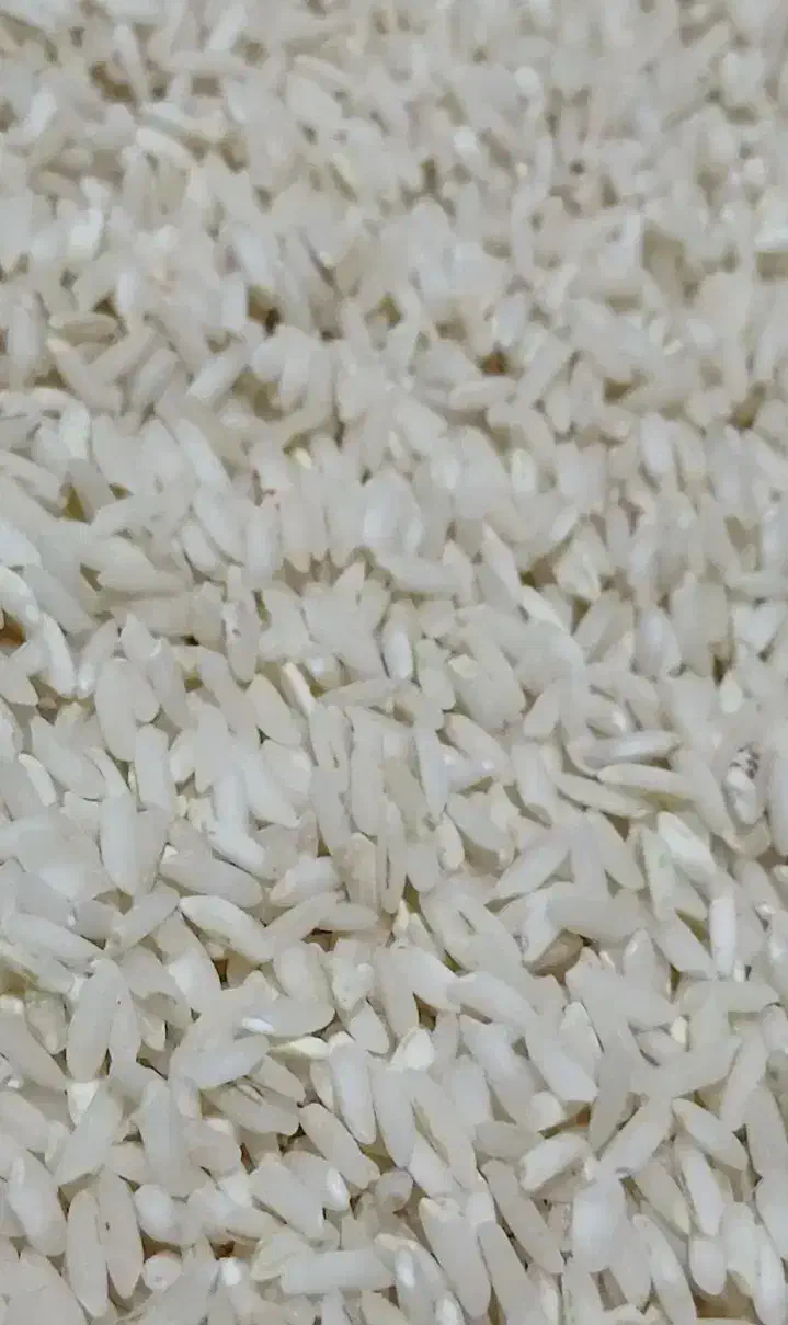 برنج علی کاظمی درجه یک به شرط|خوردنی و آشامیدنی|الشتر, |دیوار