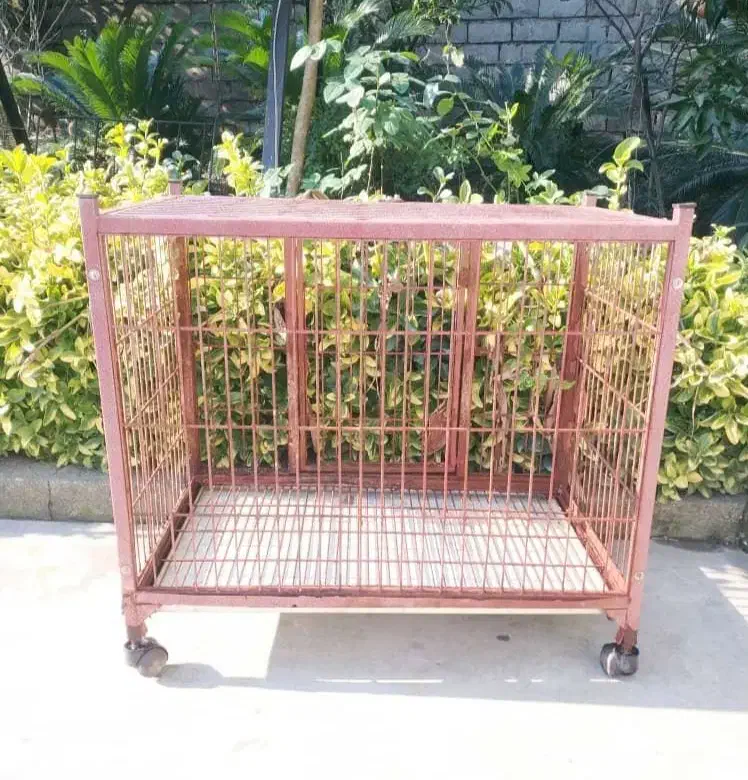 قفس پانسیون|لوازم جانبی حیوانات|رامسر, |دیوار