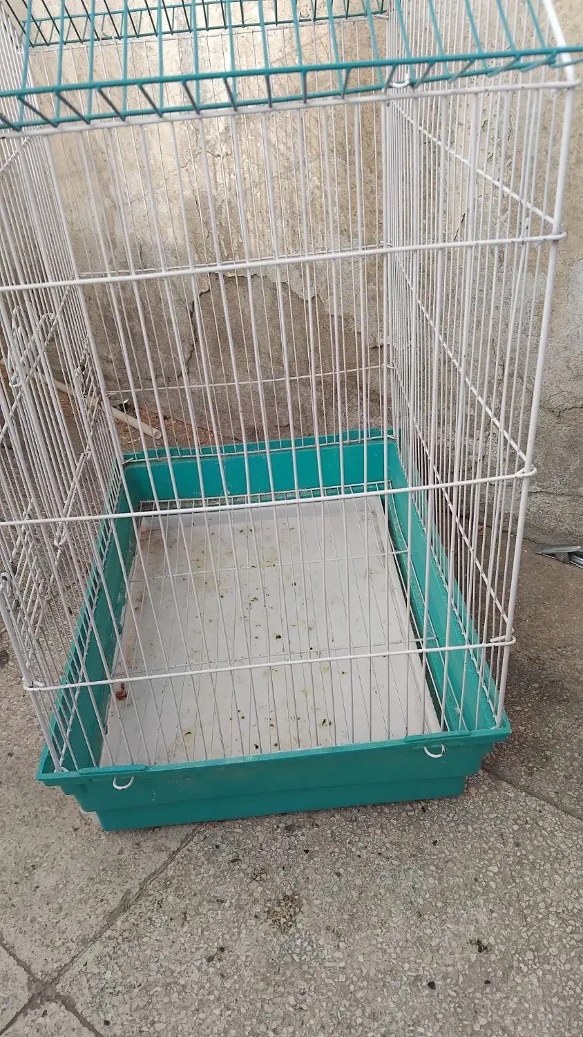 قفس|لوازم جانبی حیوانات|تهران, شهید فکوری|دیوار