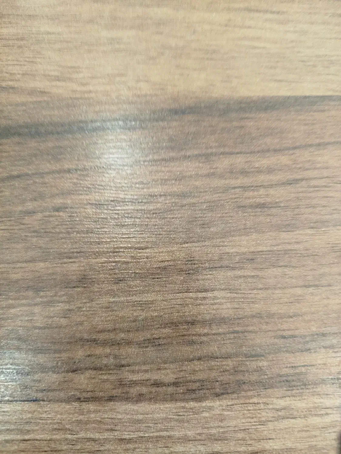 فروش ۵۰۰۰ متری|فروش دفتر صنعتی، کشاورزی، تجاری|جیرفت, |دیوار