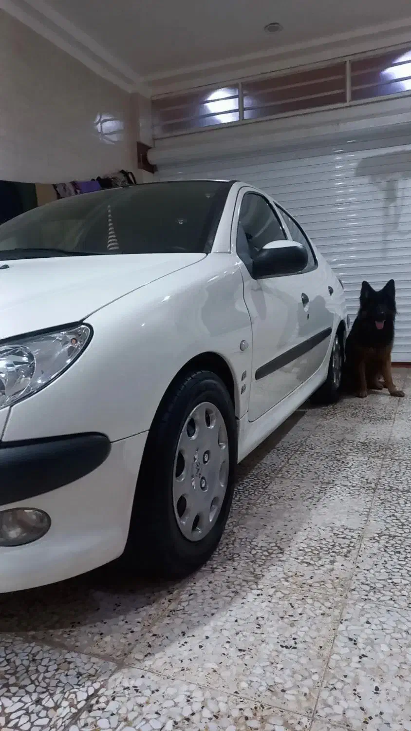 206SD|خودرو سواری و وانت|بوشهر, |دیوار