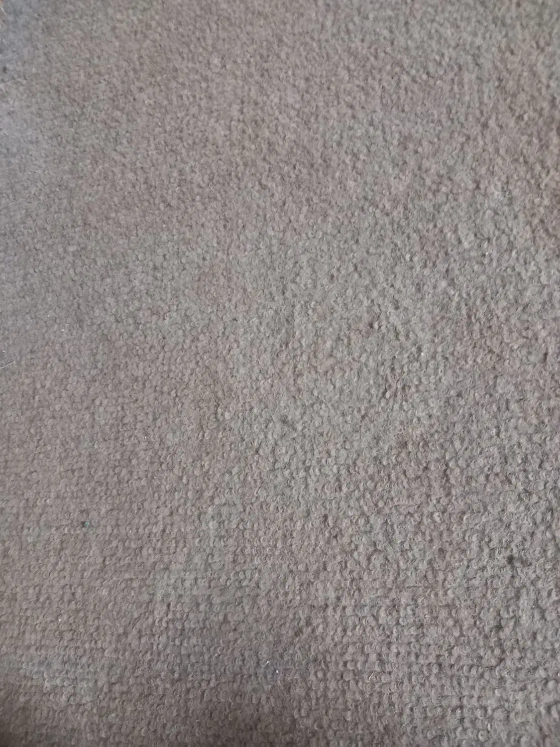 موکت|موکت|مشهد, عبادی|دیوار