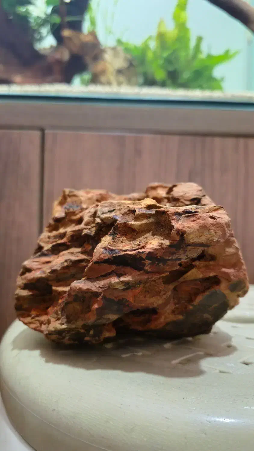 آکواریوم آماده|ماهی|ری, دولتآباد|دیوار