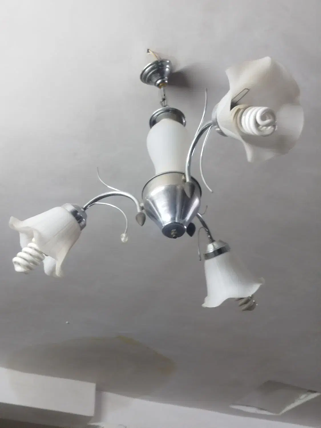 لوستر|لوستر و چراغ آویز|فردیس, ثابتی|دیوار