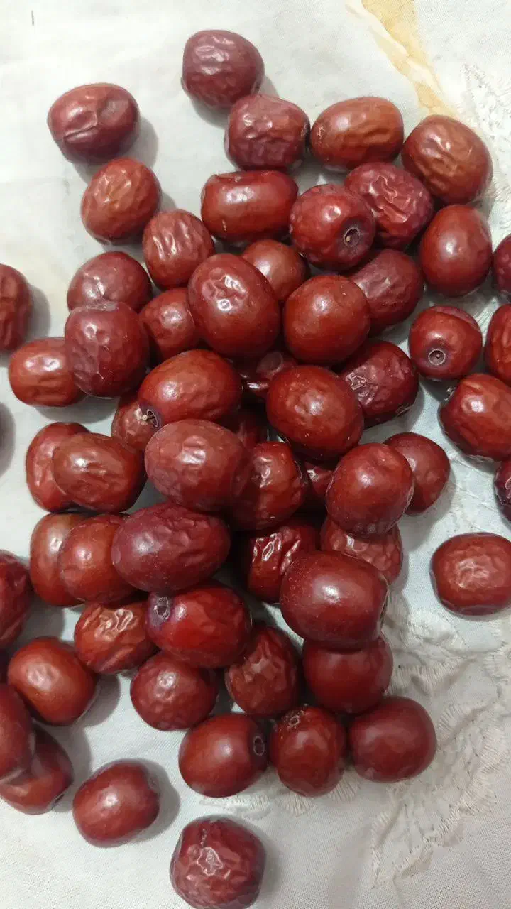 عناب|خوردنی و آشامیدنی|بیرجند, |دیوار