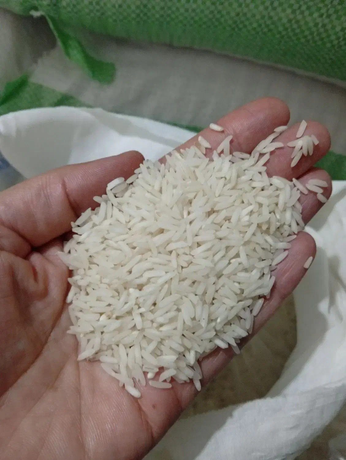 برنج نیمدانه وسرلاشه هاشمی۱۴۰۴ خوش عطرواعلا|خوردنی و آشامیدنی|الوند, |دیوار