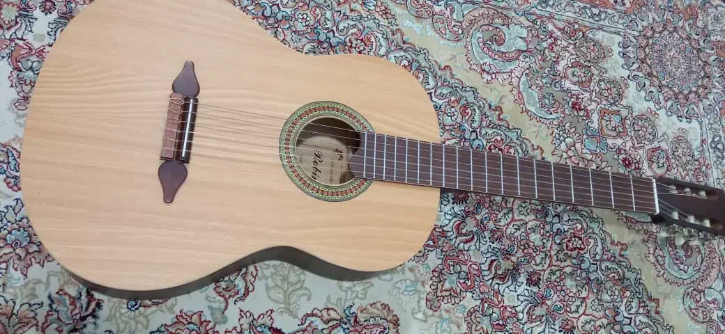 گیتار نو نو استفاده نشده|گیتار، بیس، امپلیفایر|مشهد مرغاب, |دیوار