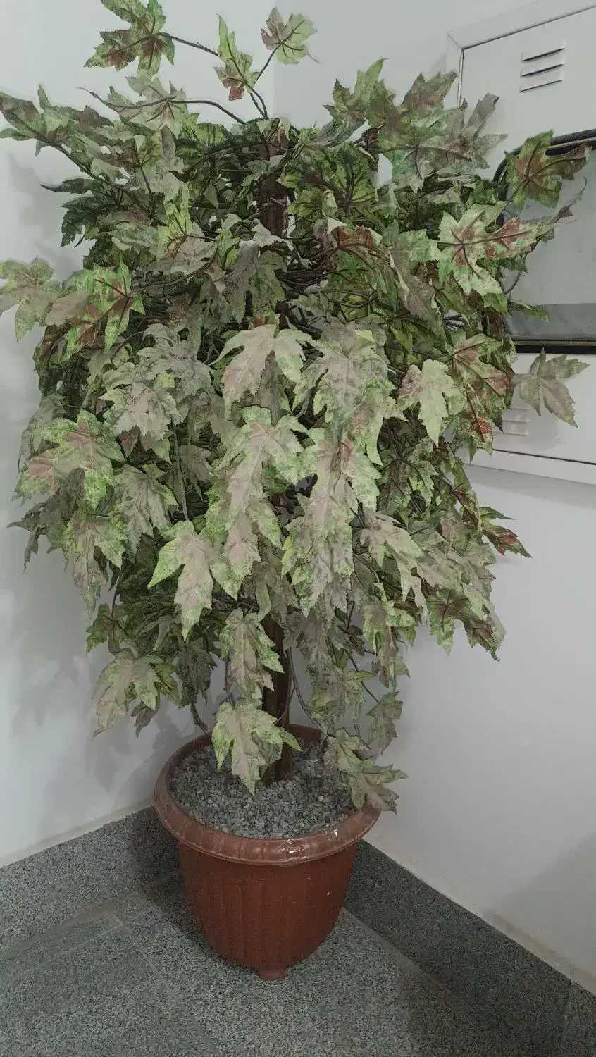 درخت گل پاییزی|گل مصنوعی|بیرجند, |دیوار