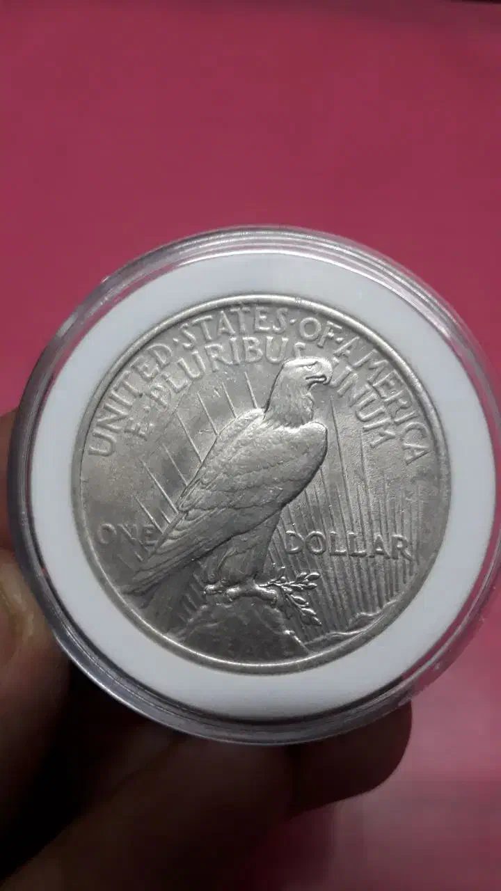 یک دلار نقره آمریکا ۱۹۲۲|کلکسیون سکه، تمبر، اسکناس|قزوین, |دیوار