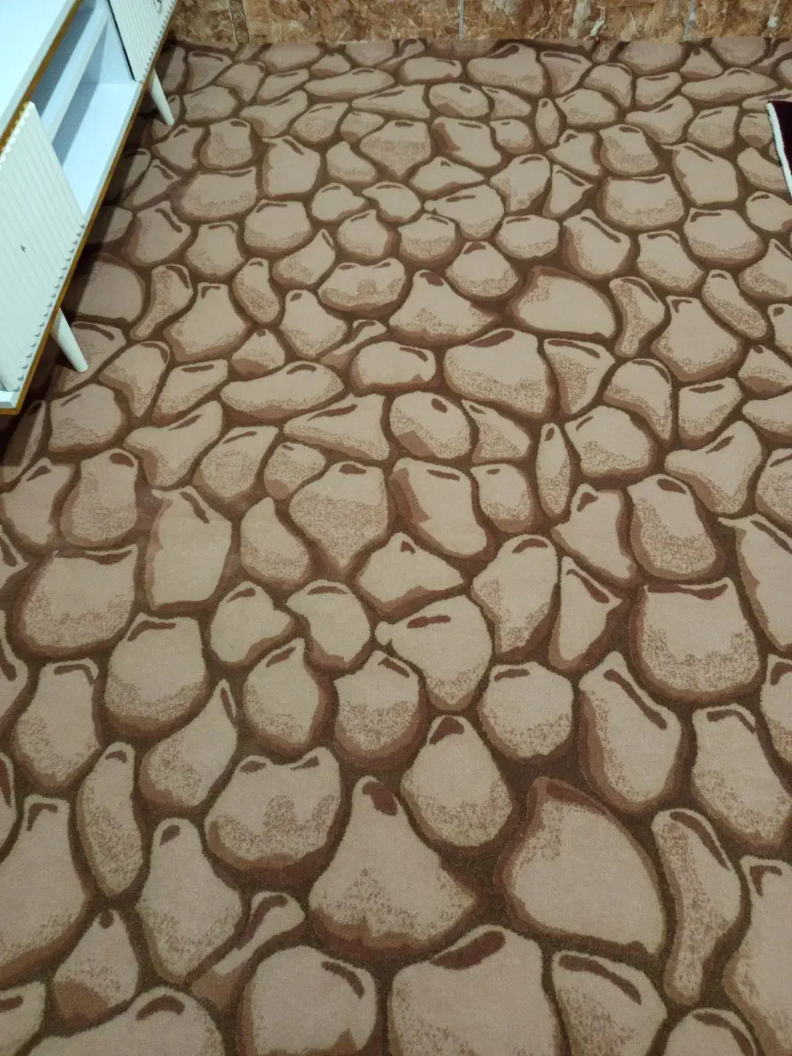 موکت|موکت|گنبد کاووس, |دیوار