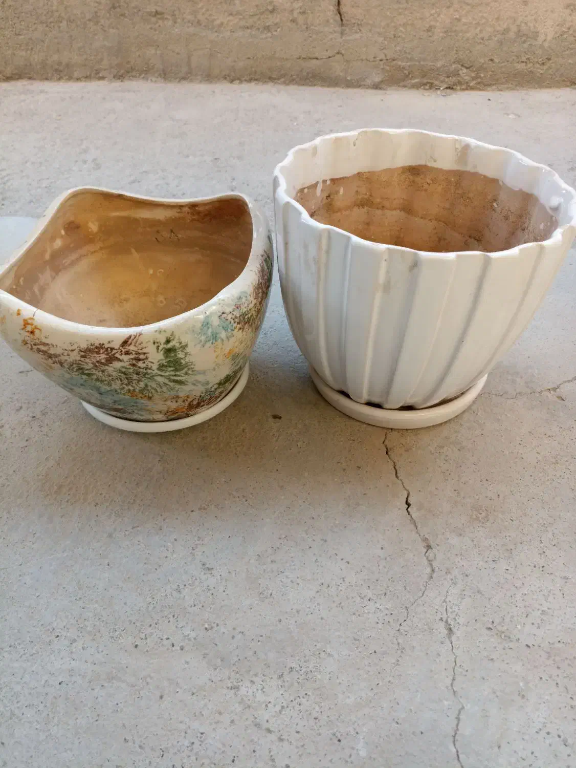 گلدون نو و سالم همراه با زیر گلدونی|گل و گیاه طبیعی|زابل, |دیوار