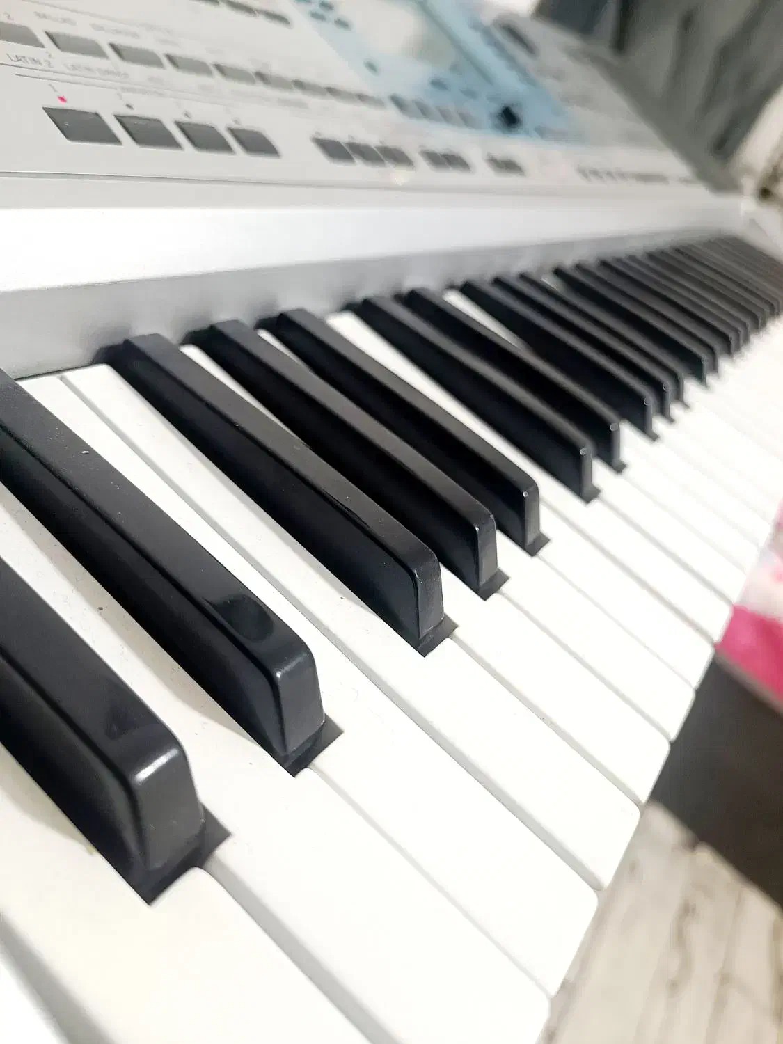 ارگ korg pa50 تبدیل به 80|پیانو، کیبورد، آکاردئون|شاهرود, |دیوار