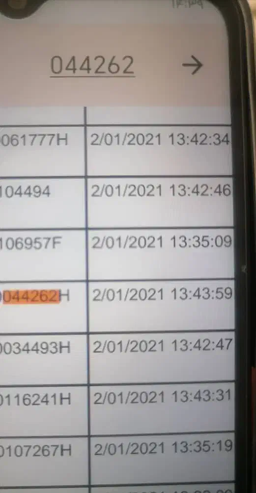 پرنده|پرنده|خرمشهر, |دیوار