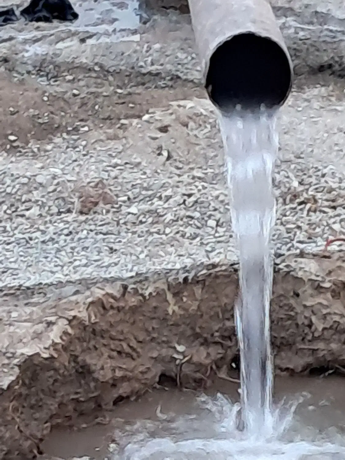 یک هکتار زمین کشاورزی با مجوز گلخانه در نظرآباد|فروش دفتر صنعتی، کشاورزی، تجاری|نظرآباد, احمد آباد|دیوار