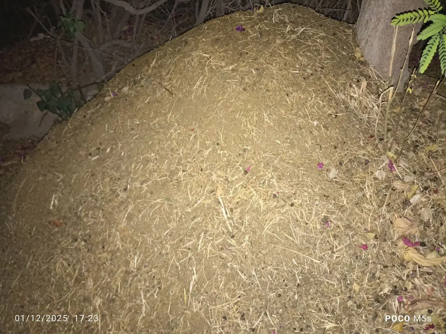 کود حیوانی|گل و گیاه طبیعی|جم, |دیوار