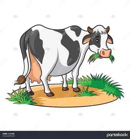 گوساله جنس اصلی|حیوانات مزرعه|پادنا علیا, |دیوار