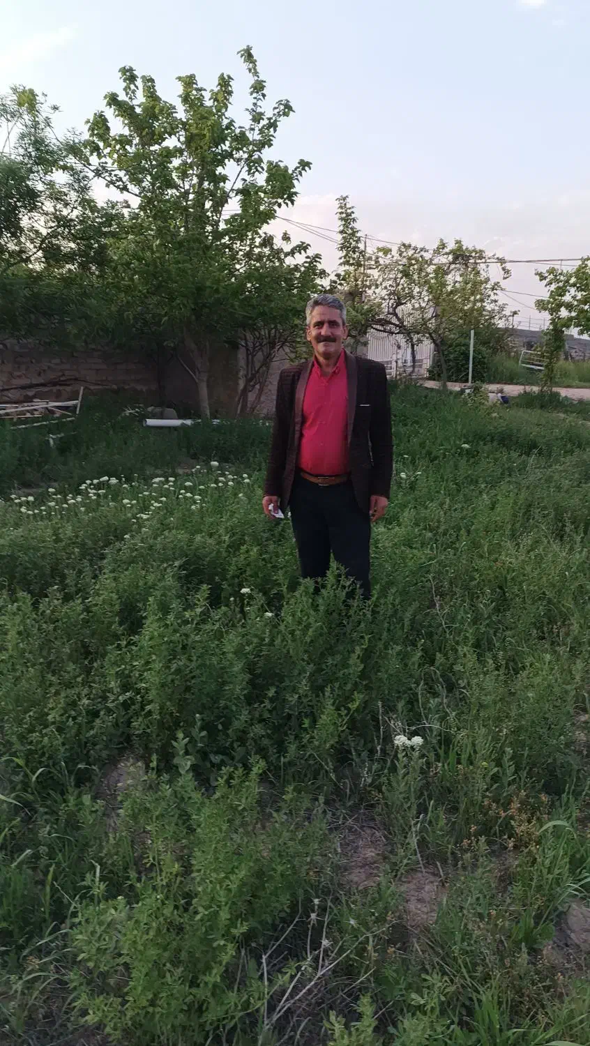 لوله کشی گاز|خدمات پیشه و مهارت|لوشان, |دیوار