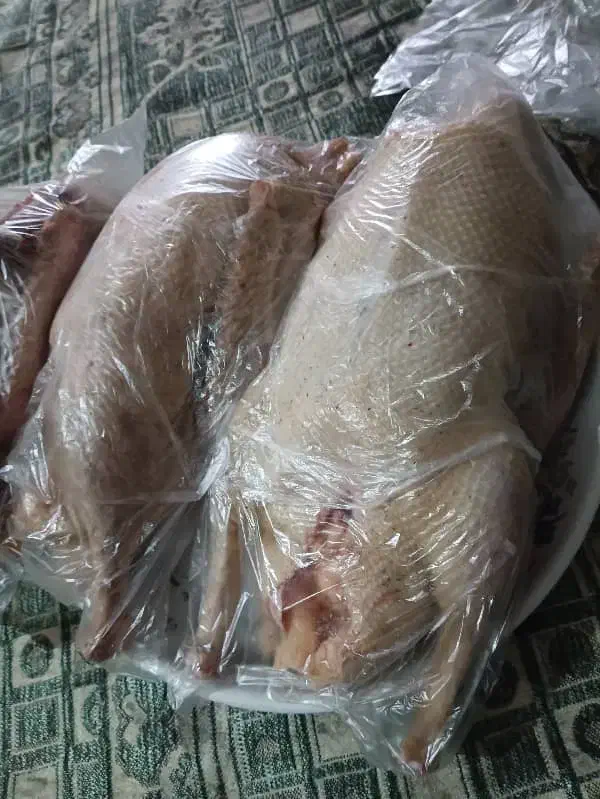 غاز محلی|خوردنی و آشامیدنی|آستارا, |دیوار