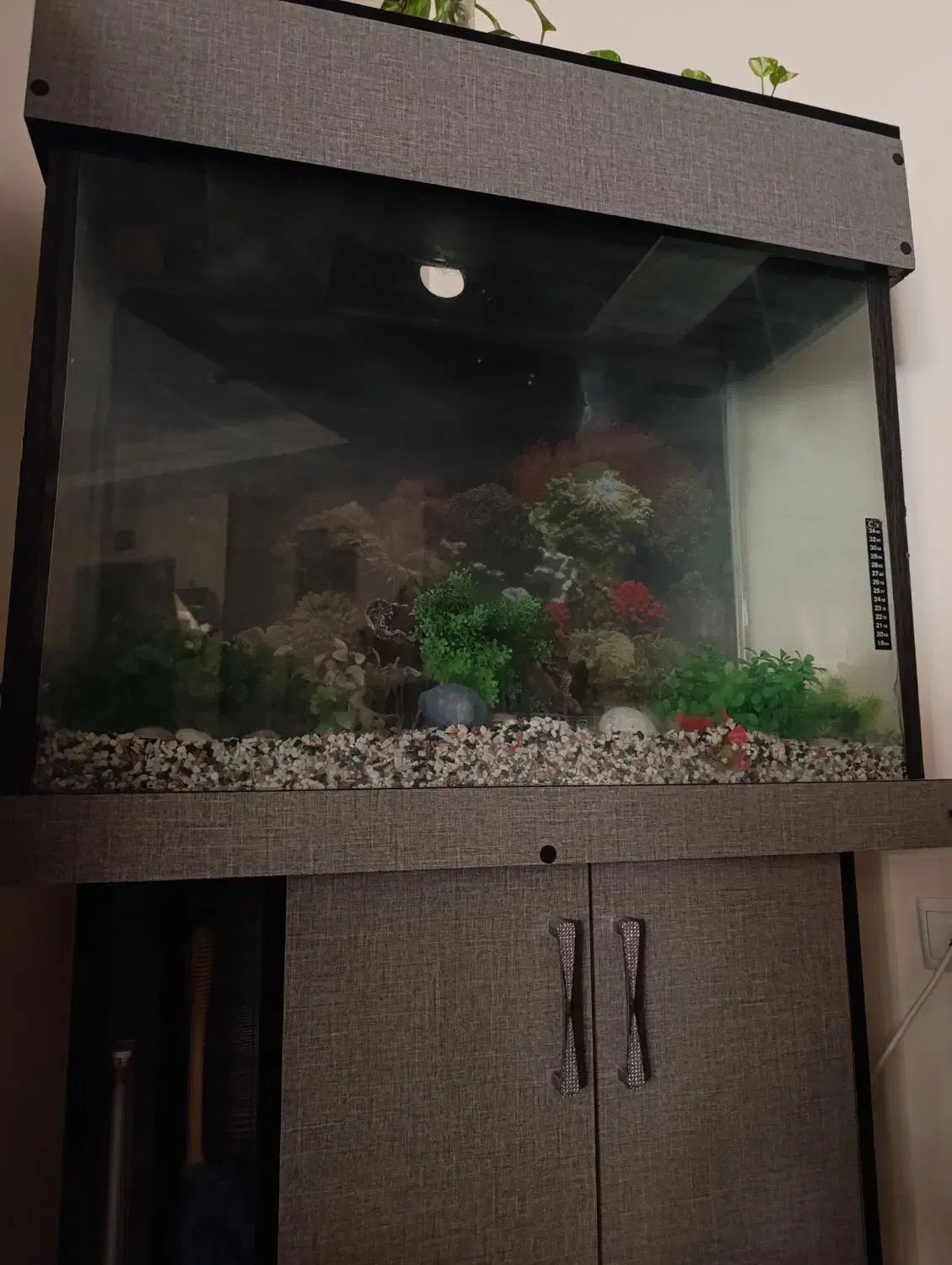 آکواریوم به همراه وسایل و کمد ام دی اف|ماهی|قدس, شهرک فرزان|دیوار