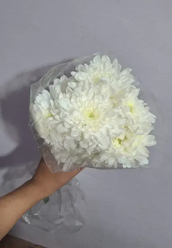دسته گل طبیعی|گل و گیاه طبیعی|مشهد, مشکینی (شهرک غرب)|دیوار