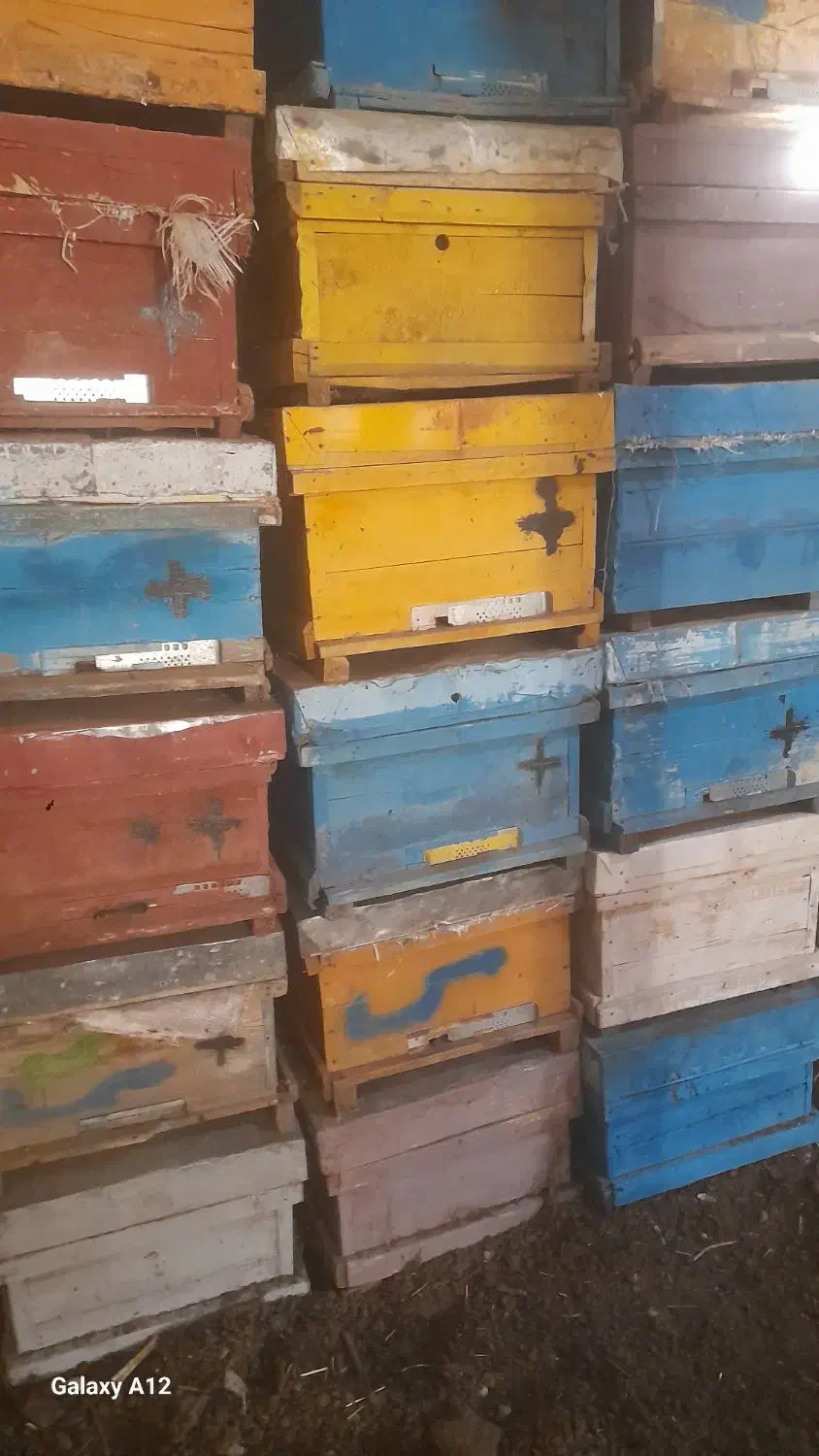 صندوق زنبور عسل|عمده‌فروشی|اشنویه, |دیوار