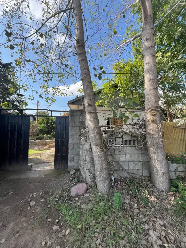 ویلا دو نبش تجاری باانشعابات /چاف وچمخاله|فروش دفتر صنعتی، کشاورزی، تجاری|چاف و چمخاله, |دیوار