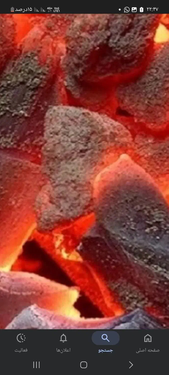 ذغال|عمده‌فروشی|همدان, |دیوار