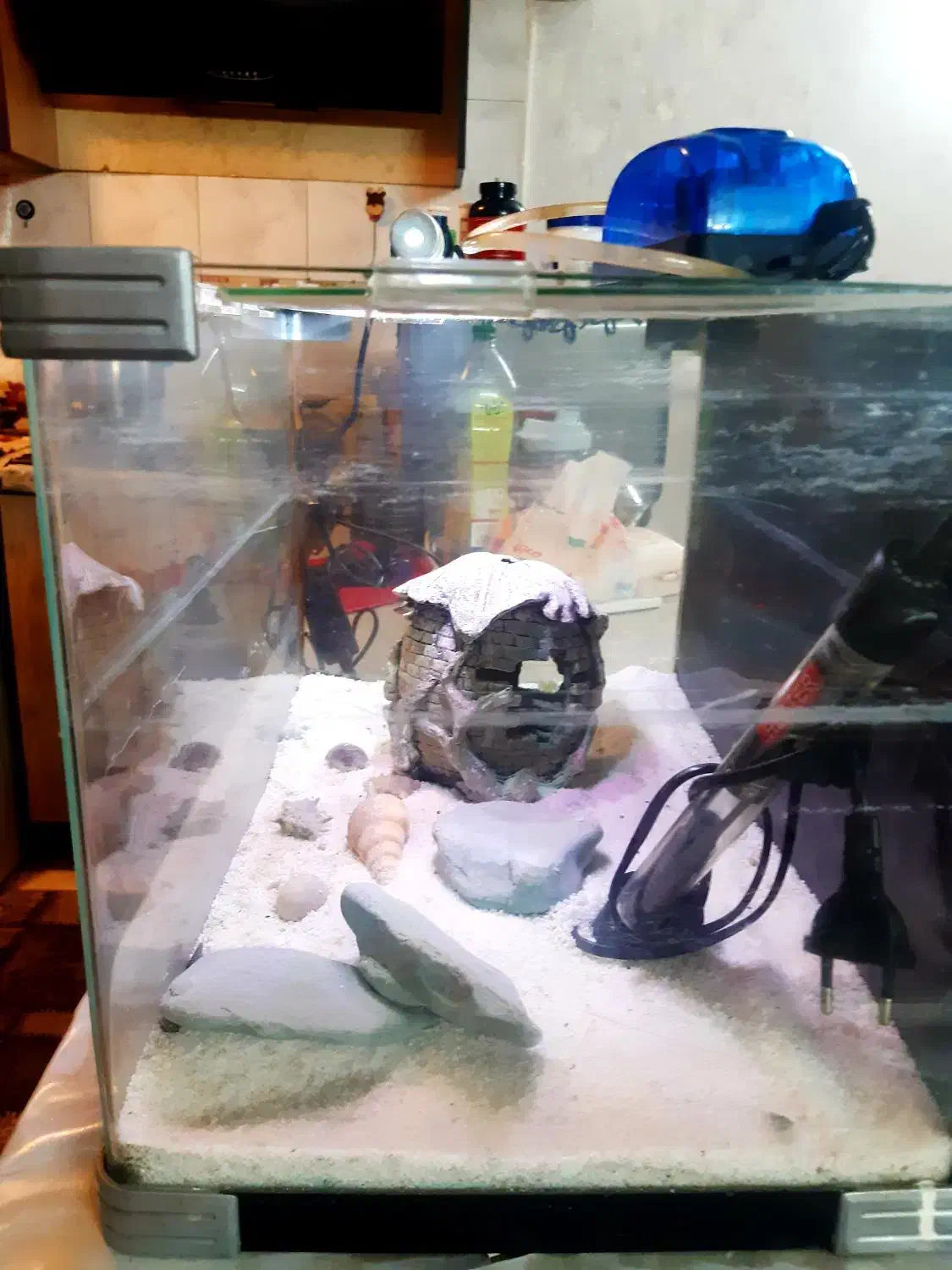 آکواریوم  شرکتی با تمام لوازم|ماهی|تهران, فلاح|دیوار