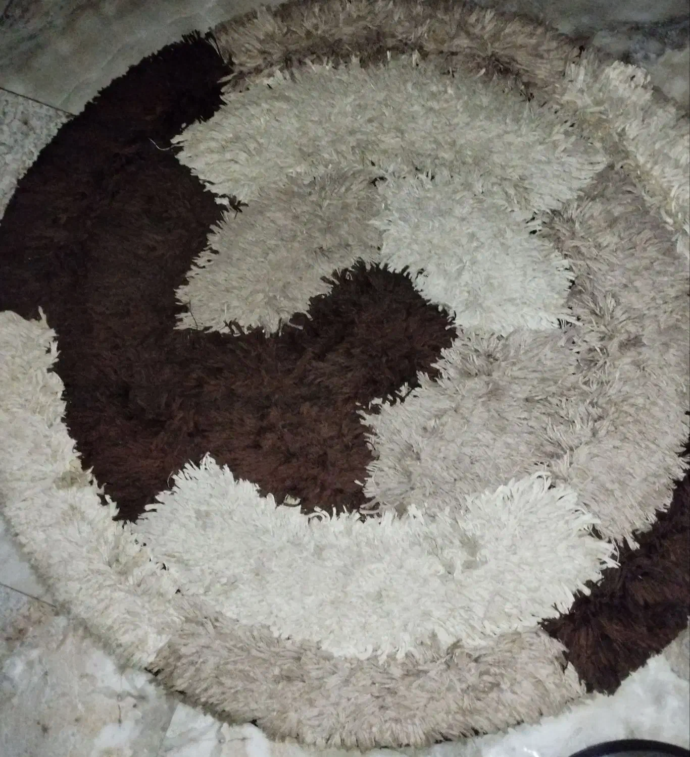 فرش گرد دو عدد|فرش|رشت, کوی بیانی|دیوار