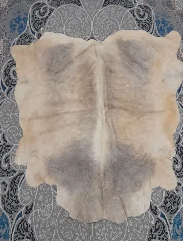 پوست دباغی شده گوساله خوش رنگ  صحنه|صنایع دستی و سایر لوازم تزئینی|صحنه, |دیوار