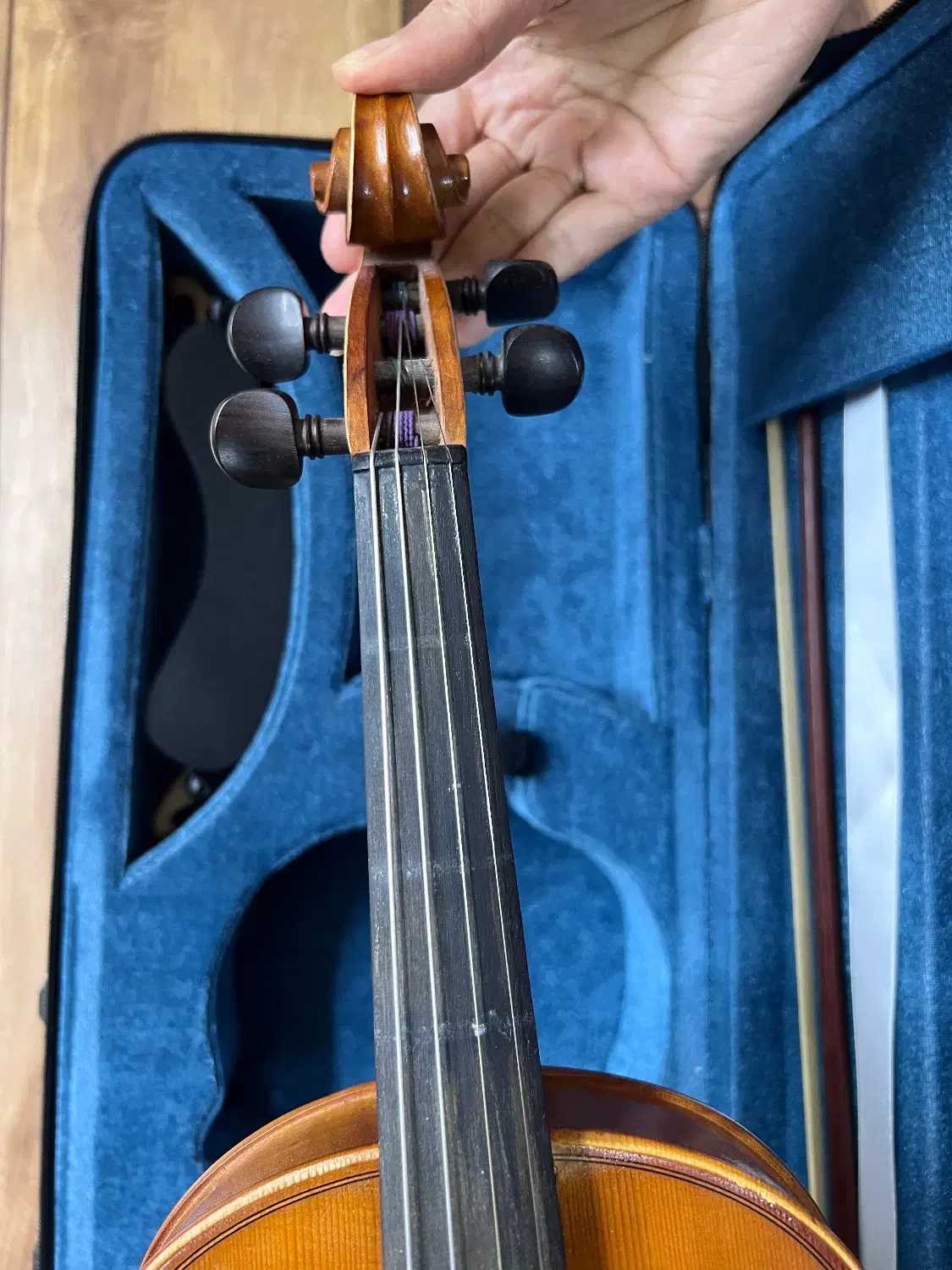 ویولن Romance|ویولن|اصفهان, سروستان|دیوار