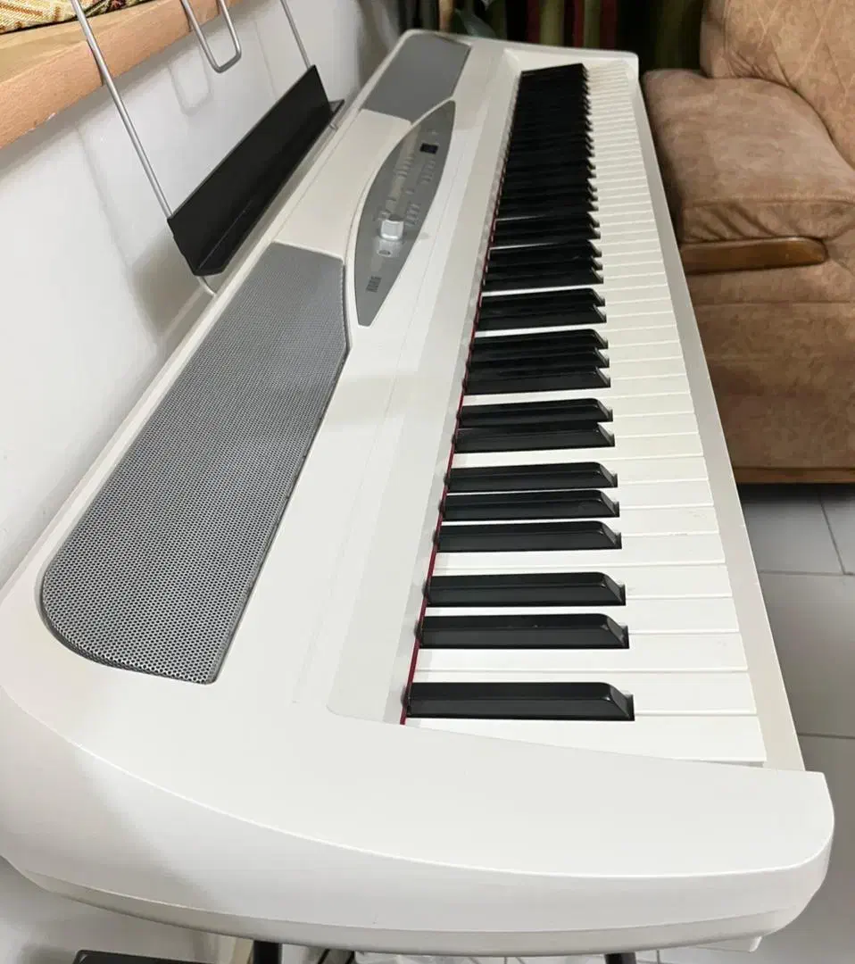 پیانو kORGمدلSp280|پیانو، کیبورد، آکاردئون|اندیشه, اندیشه فاز ۱|دیوار