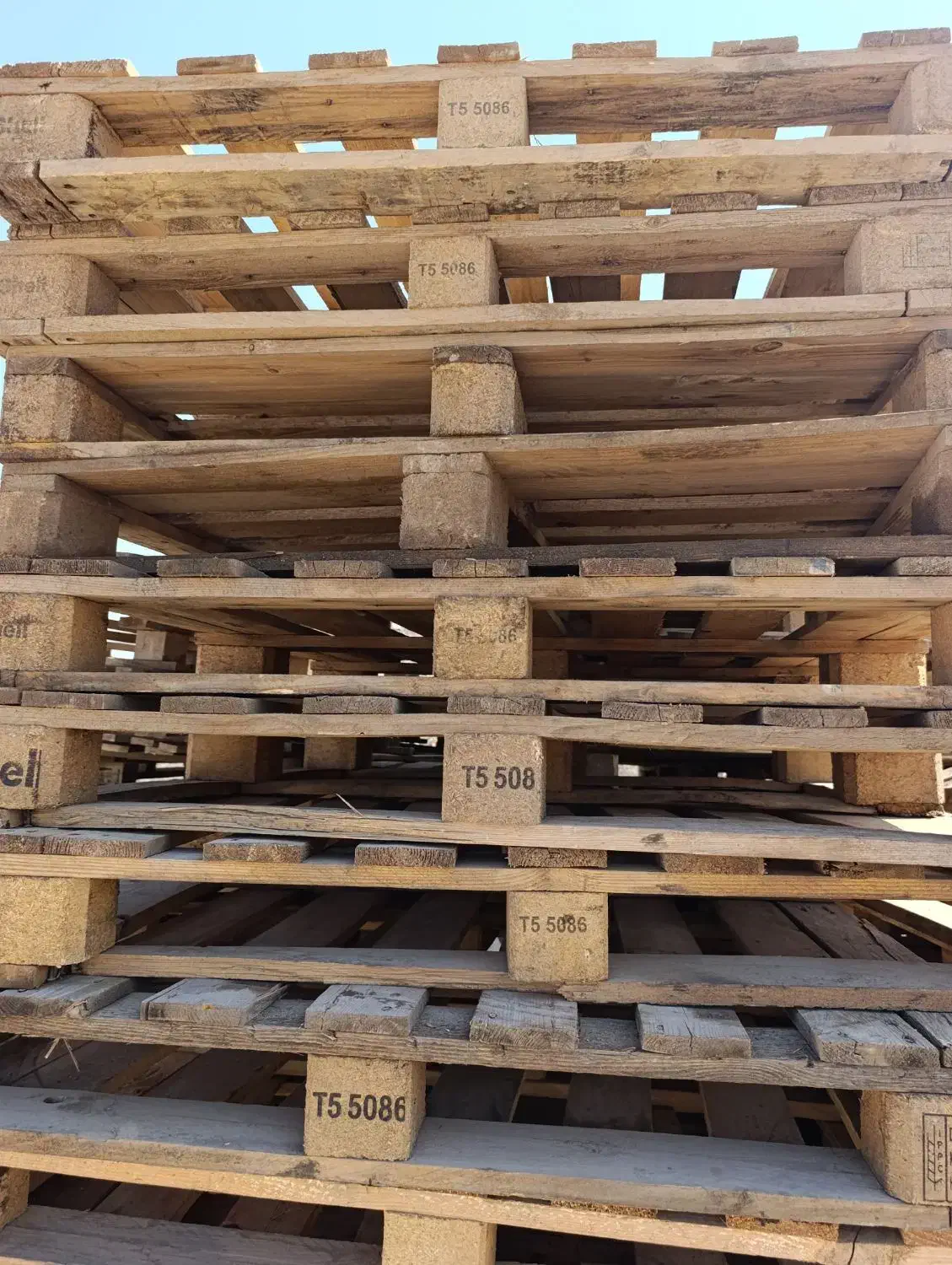 خرید و فروش انواع پالت چوبی|عمدهفروشی|زیباشهر, |دیوار