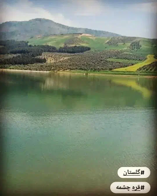 انجام کلیه کارهای باغبانی.|خدمات باغبانی و درختکاری|سمنان, |دیوار