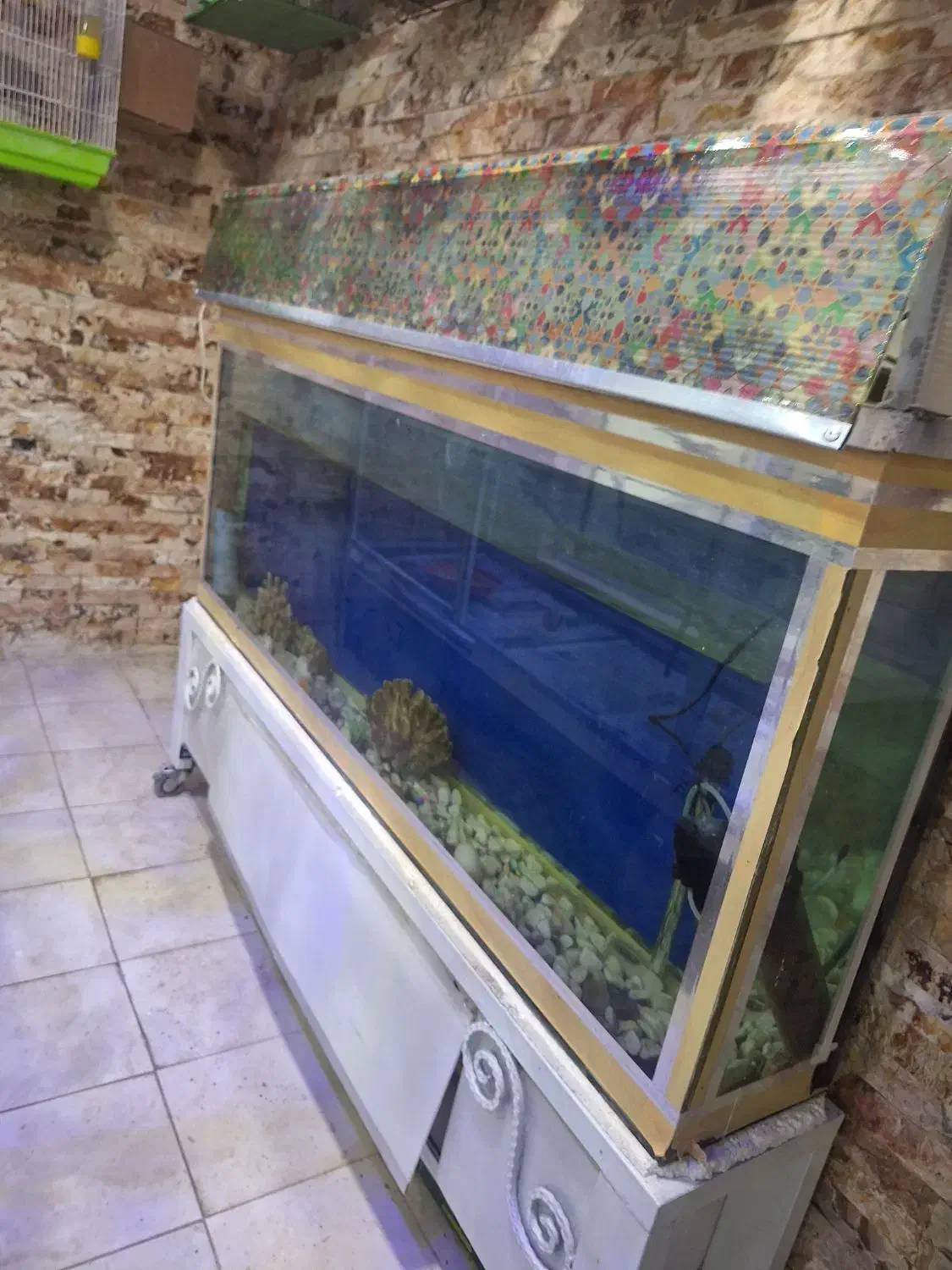 اکواریوم|ماهی|شهرکرد, |دیوار