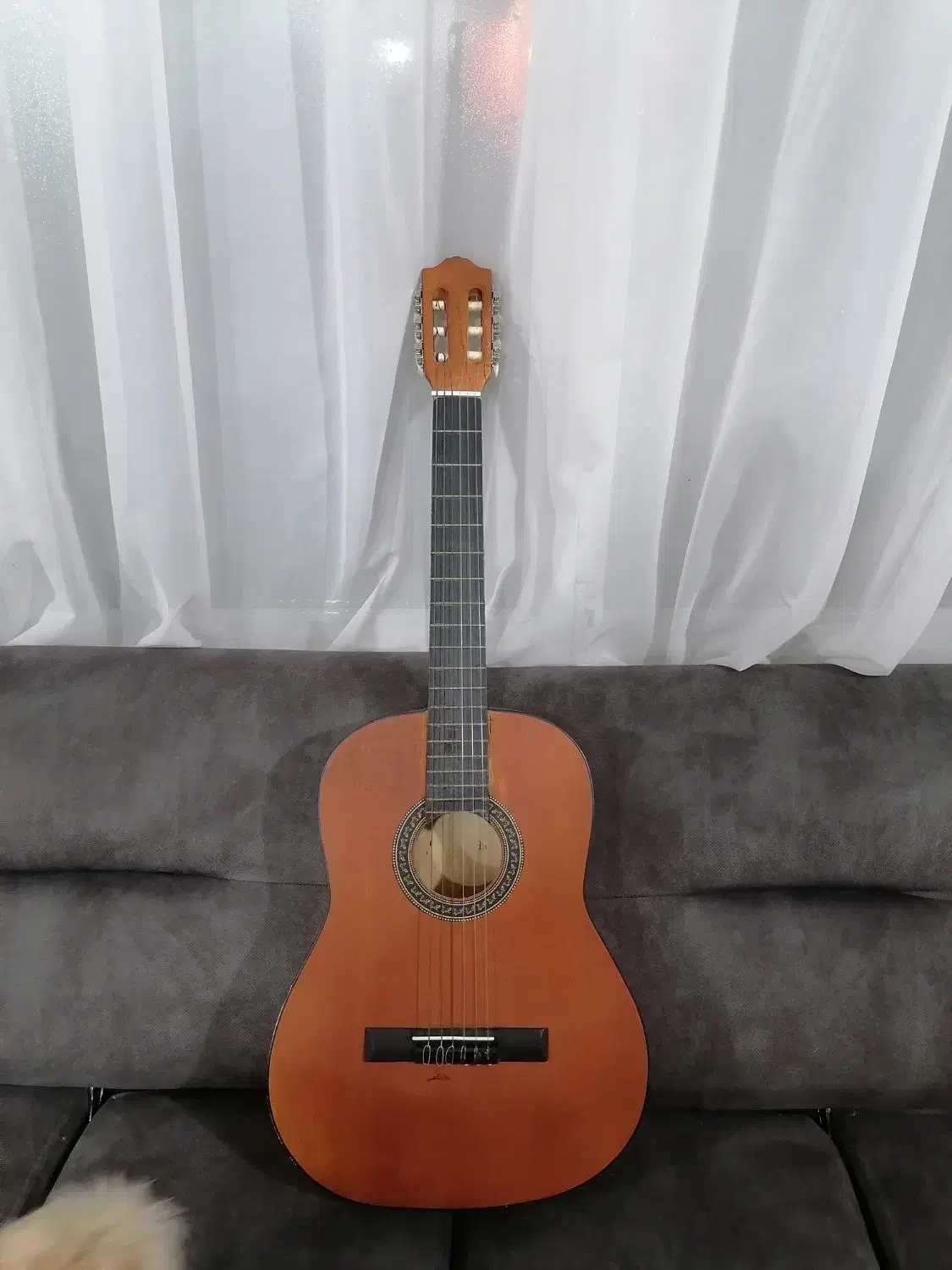 گیتار مبتدی|گیتار، بیس، امپلیفایر|کرمانشاه, |دیوار