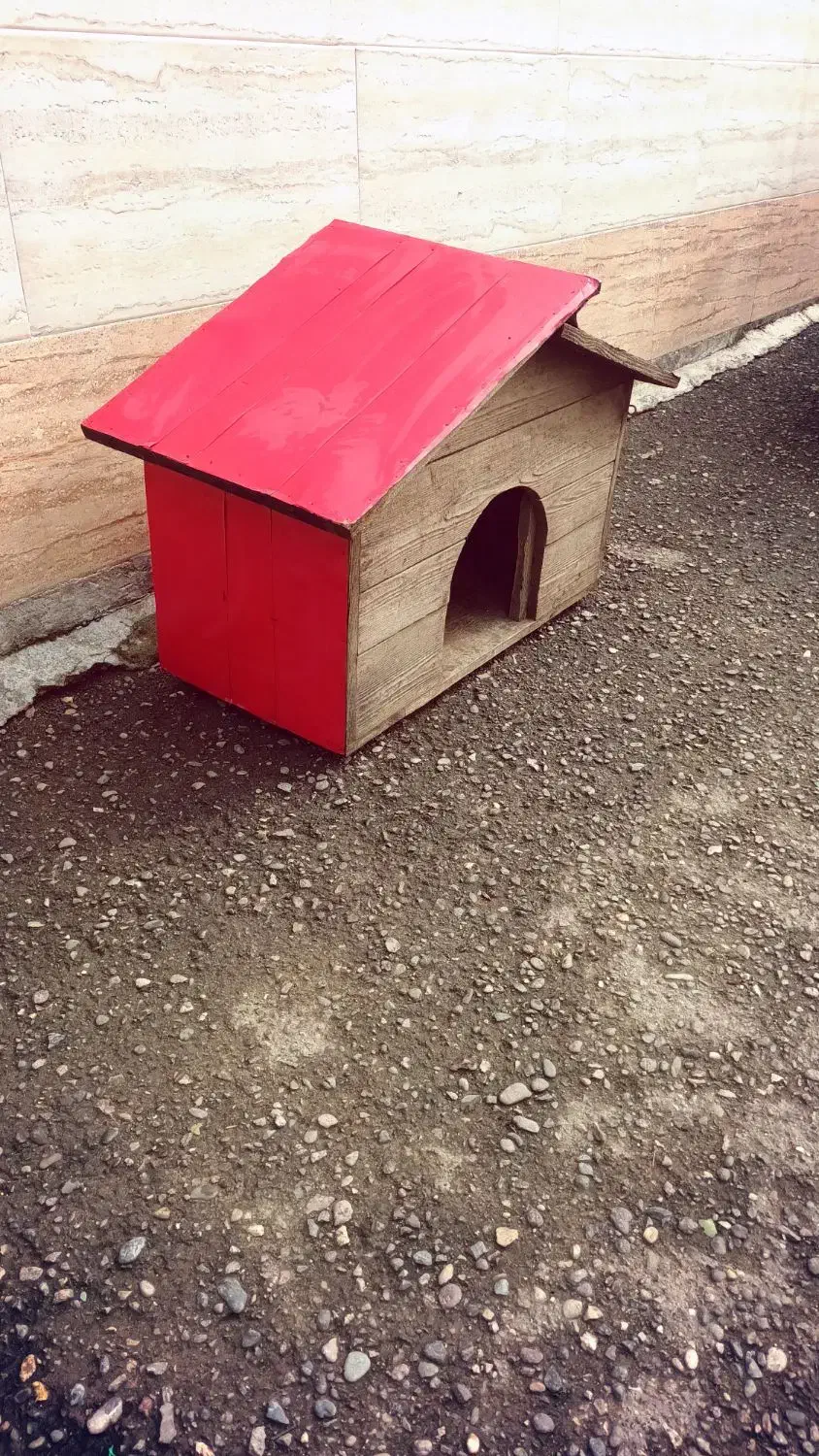 لانه سگ|لوازم جانبی حیوانات|رشت, لاکان شهر|دیوار