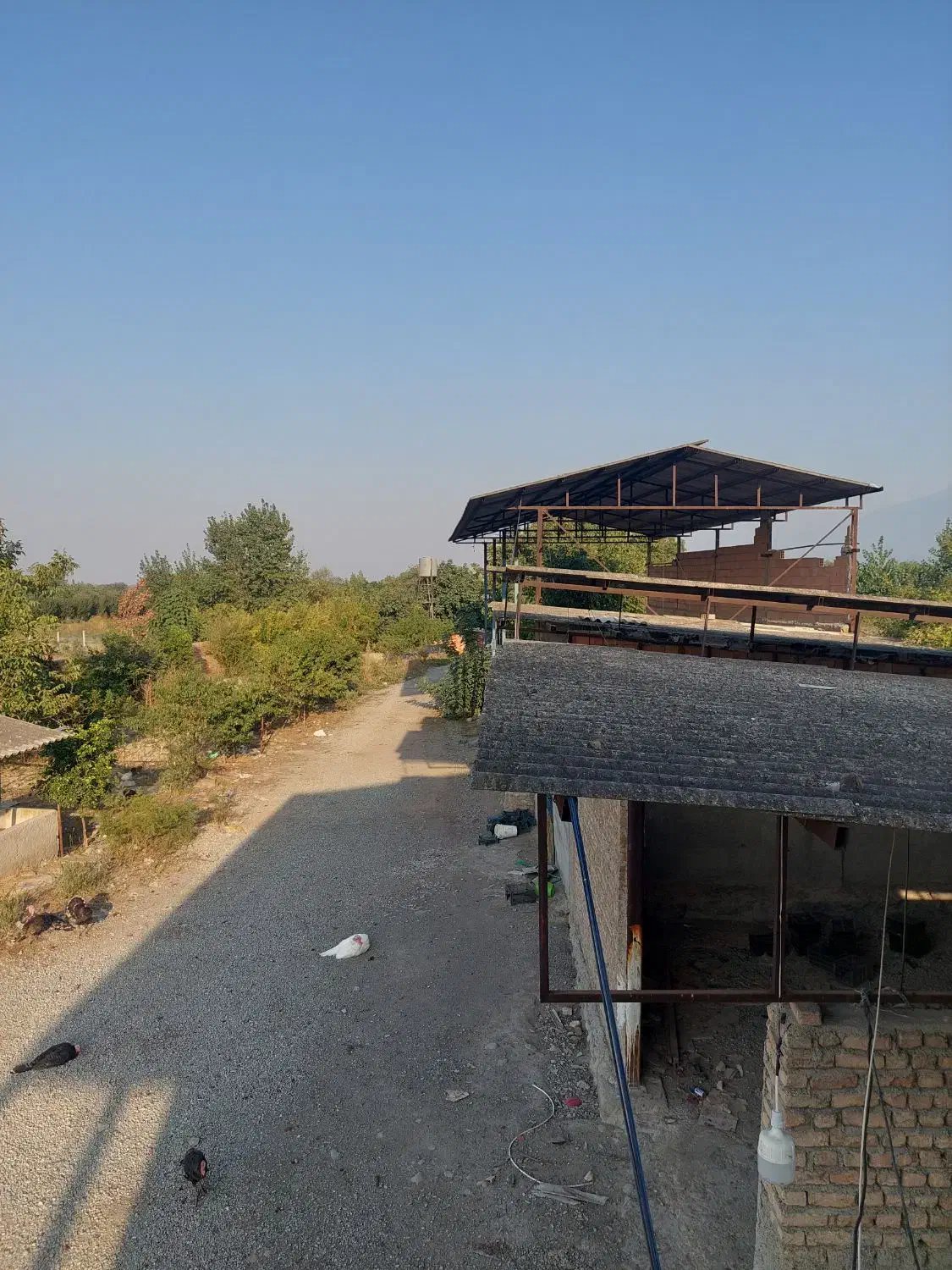 دامداری|فروش دفتر صنعتی، کشاورزی، تجاری|نوکنده, |دیوار