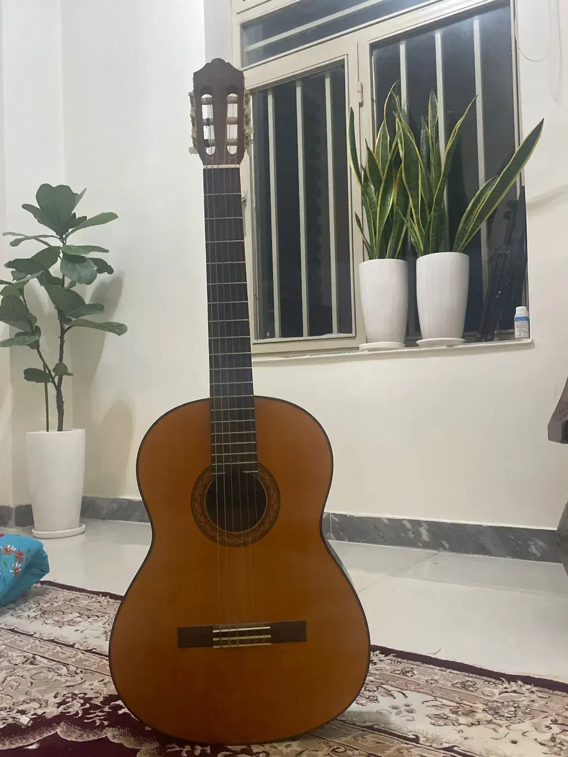 گیتار یاماها|گیتار، بیس، امپلیفایر|اردبیل, |دیوار