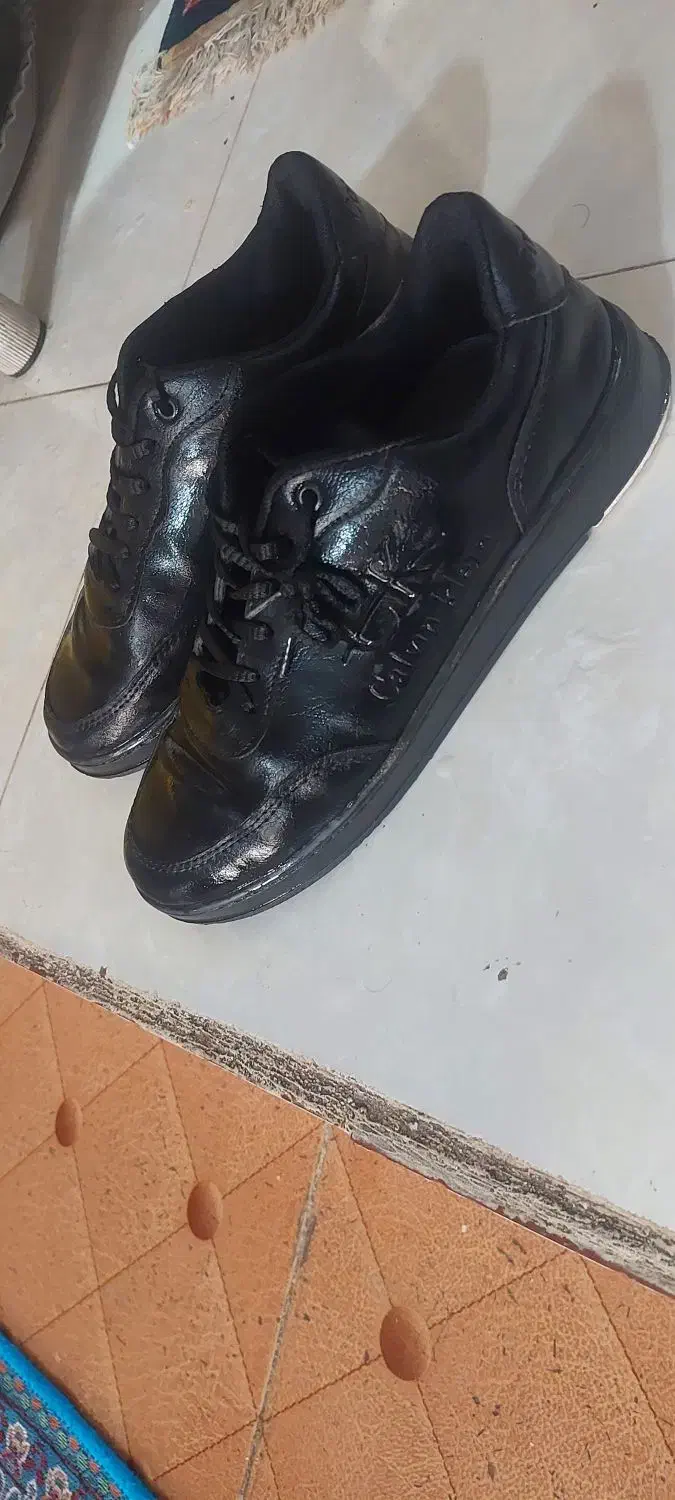 کفش فرش|کیف، کفش، کمربند|کرج, کرج نو|دیوار