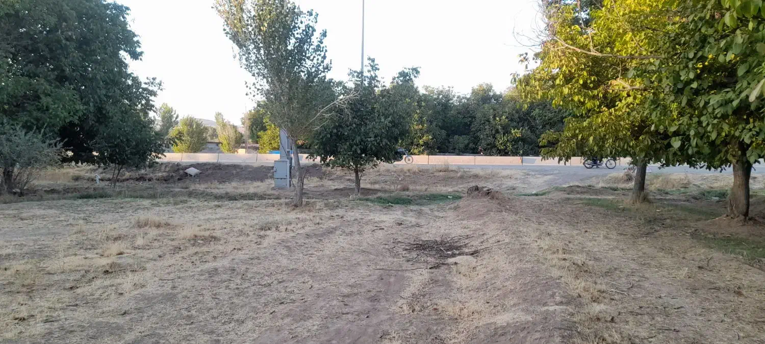 زمین ورودی دقلا مناسب خونه باغی کنار جاده کرمانشاه|فروش زمین و ملک کلنگی|تویسرکان, |دیوار