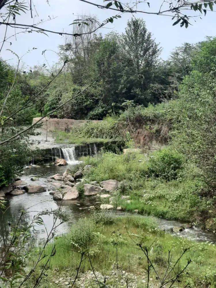 راهنمای  برای زیارت وسیاحت ...|فعالیت داوطلبانه تحقیقاتی|رشت, بازار|دیوار