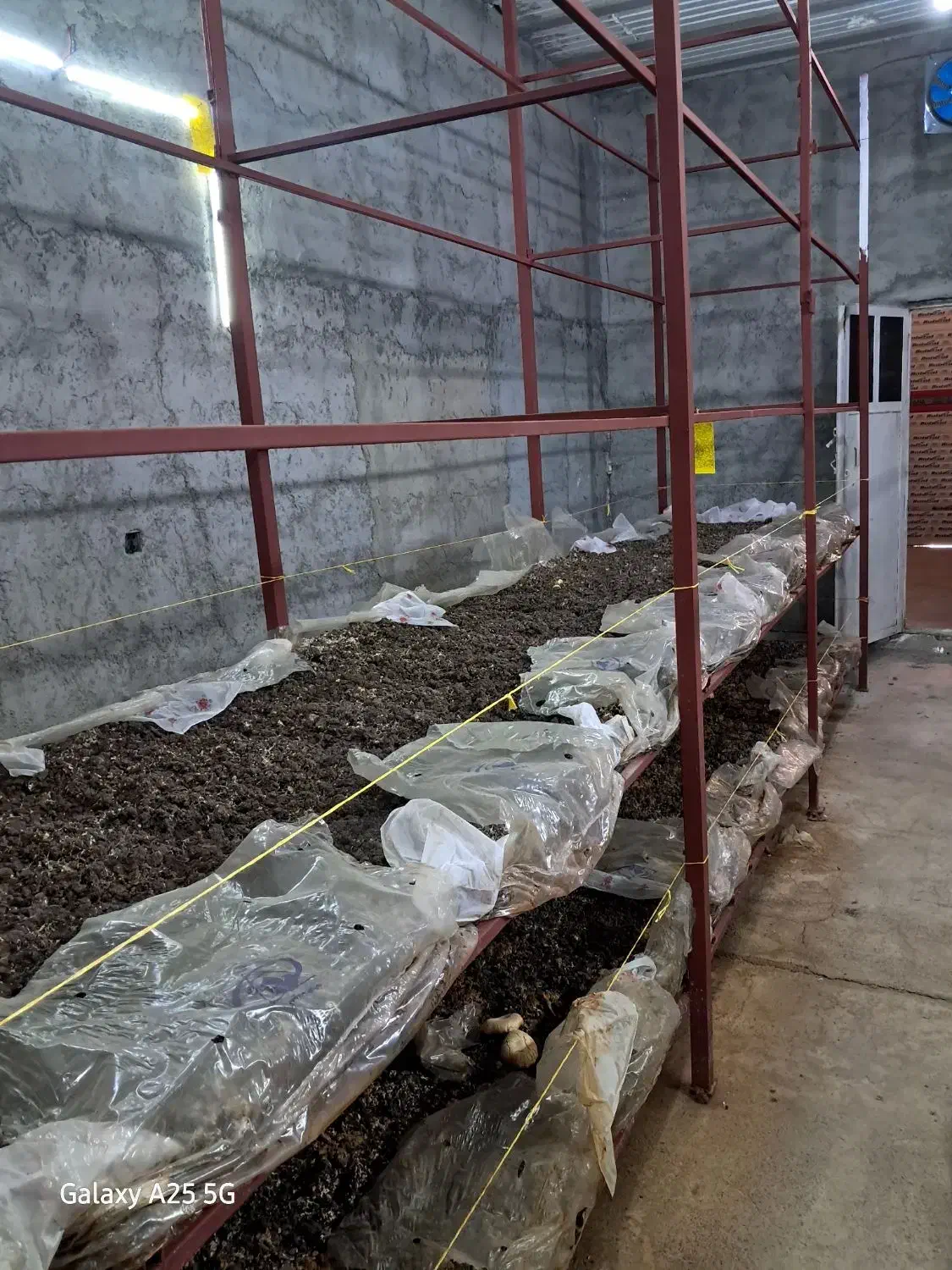 فروش وسایل پرورش قارچ|ماشین‌آلات صنعتی|بلبان آباد, |دیوار