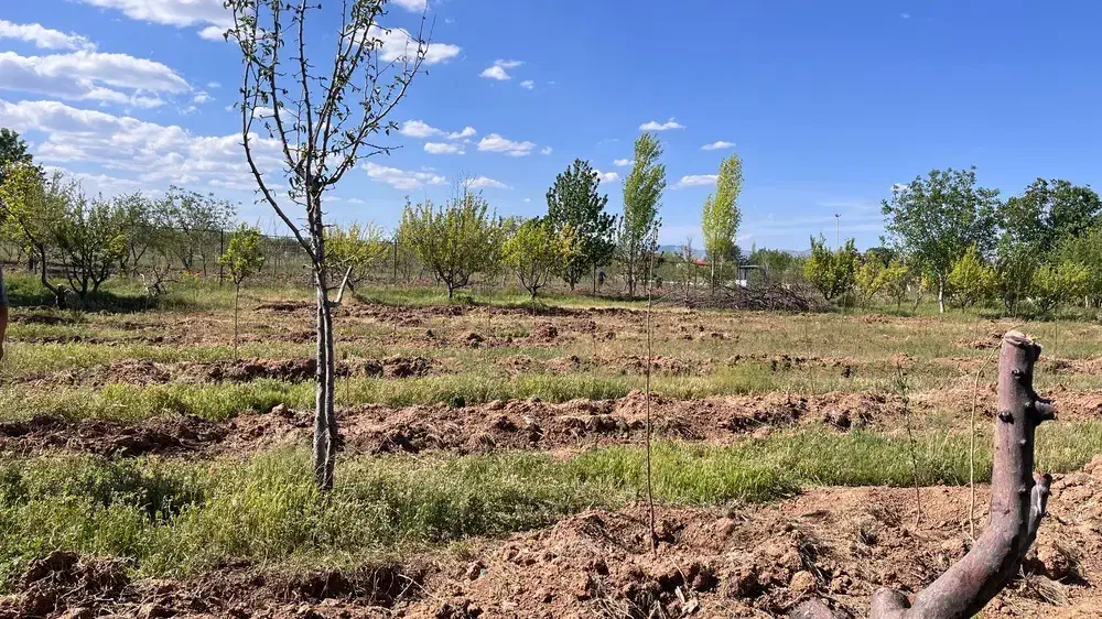 باغ درکهریز در متراژ مختلف|فروش زمین و ملک کلنگی|ابهر, |دیوار