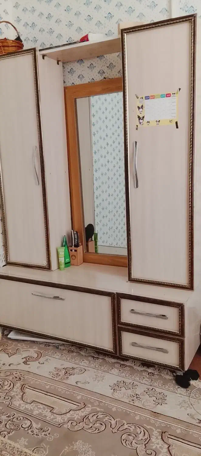 کمد ، جلو مبلی،گلدون|مبلمان خانگی و میز عسلی|تربتحیدریه, داروپخش|دیوار